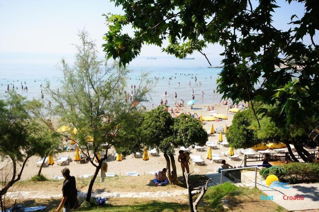 Apartman Periska Dalmatina *